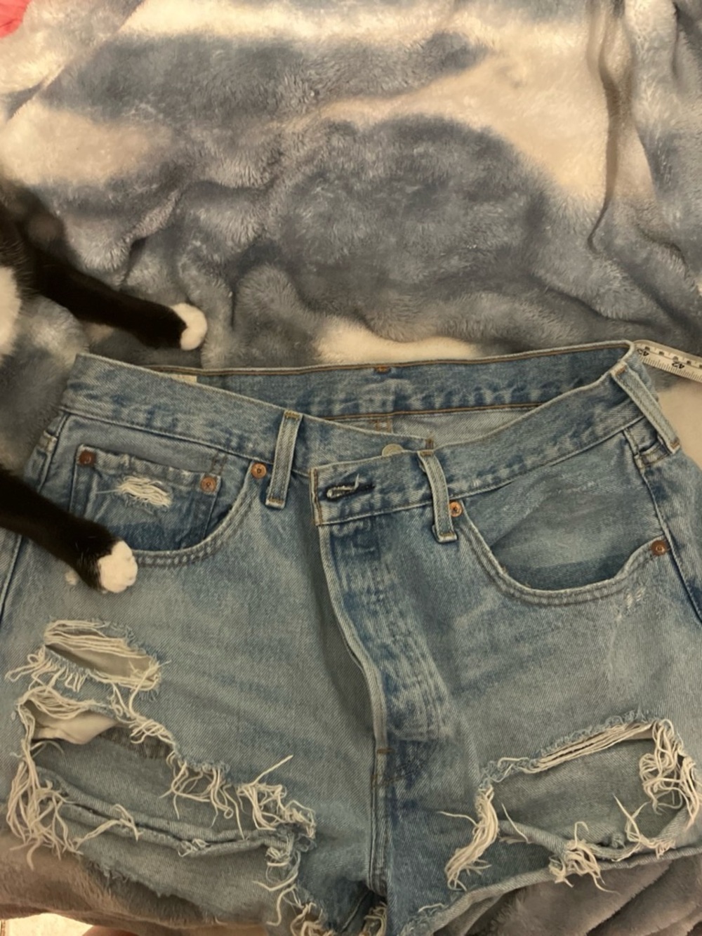 Signature by Levi Strauss Light Blue Distressed High-Rise Denim Shorts